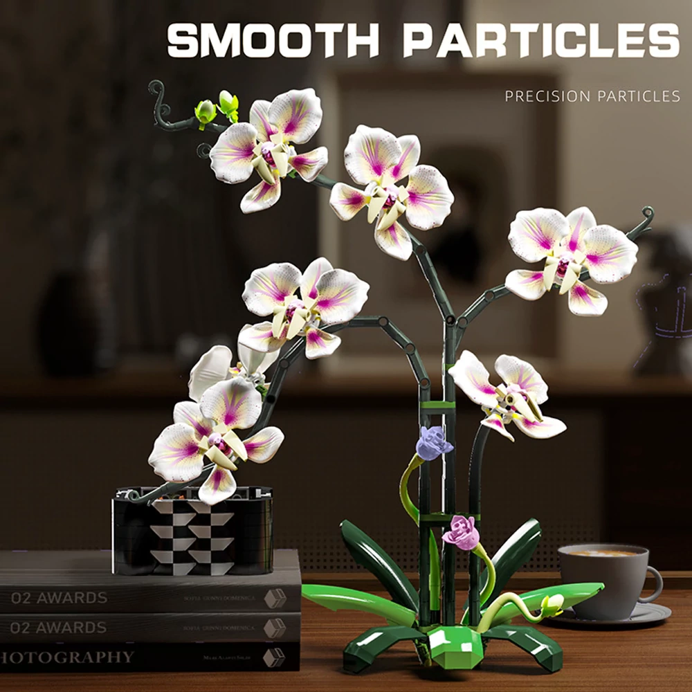 MJI 13113 CYMBIDIUM Creator Expert