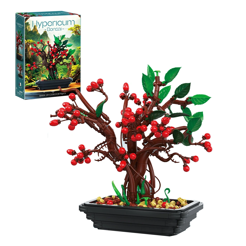 BAKA 33822 Hypericum Bonsai Tree