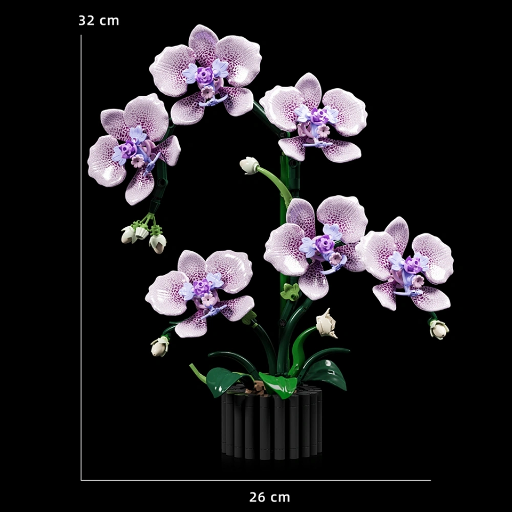 MJI 13115 Phalaenopsis Creator Expert