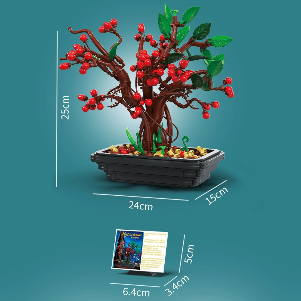 BAKA 33822 Hypericum Bonsai Creator Expert