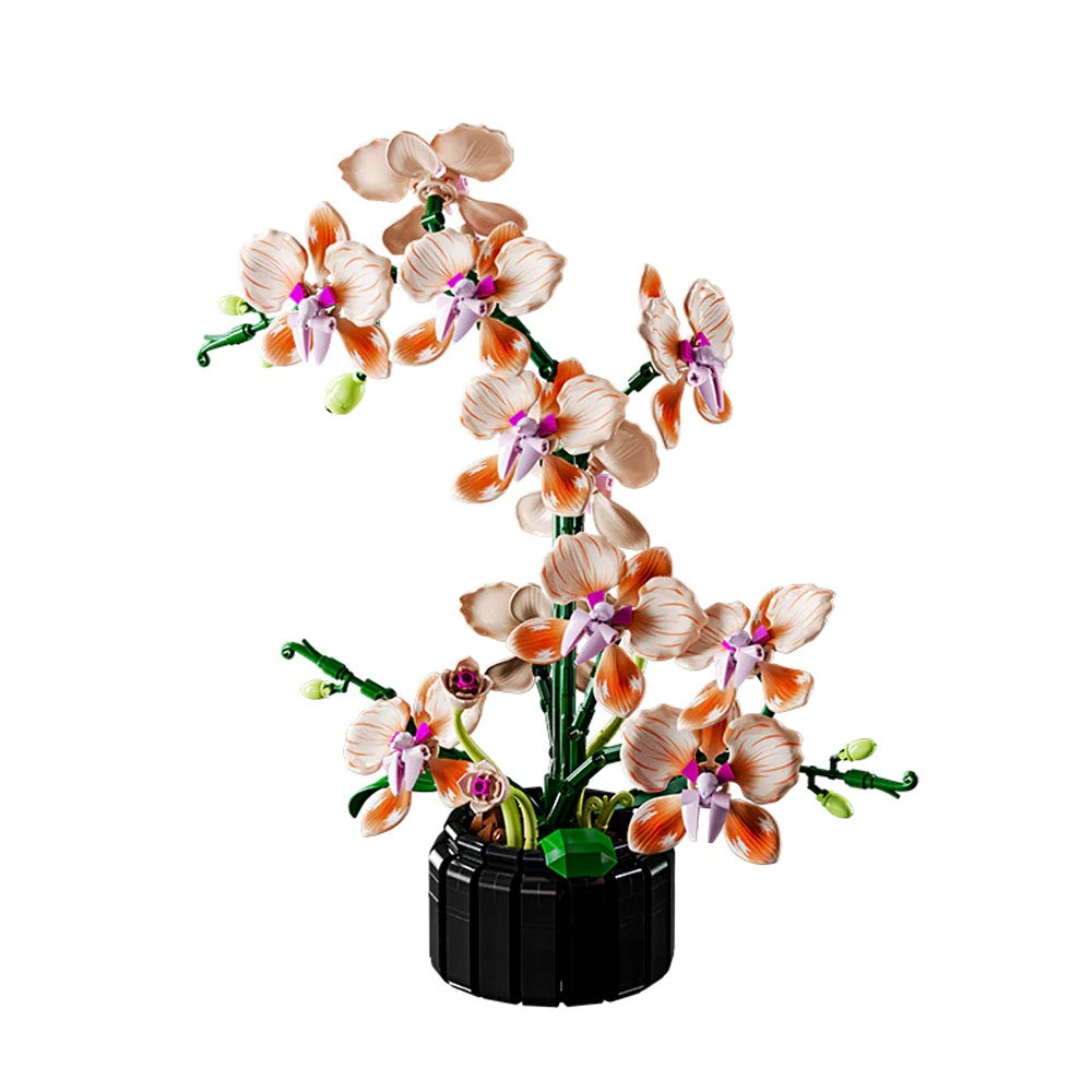 MJI 13111 Phalaenopsis Creator Expert