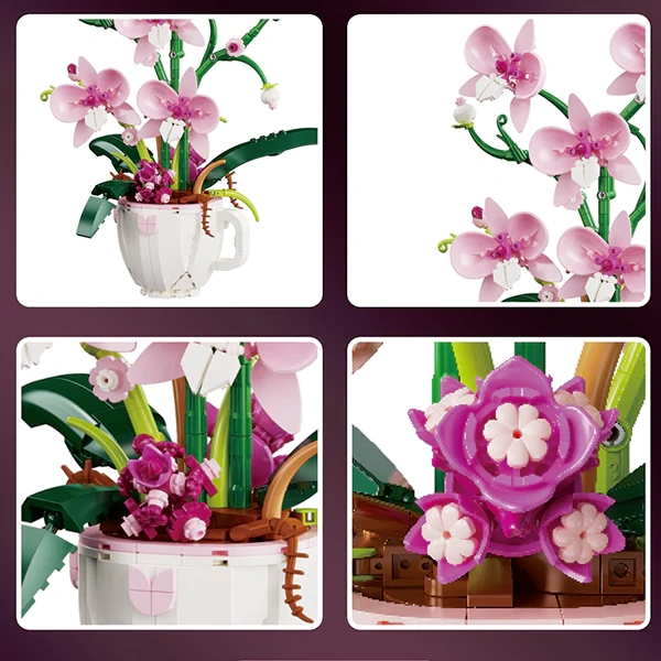 DK Orchid Series Creator Expert