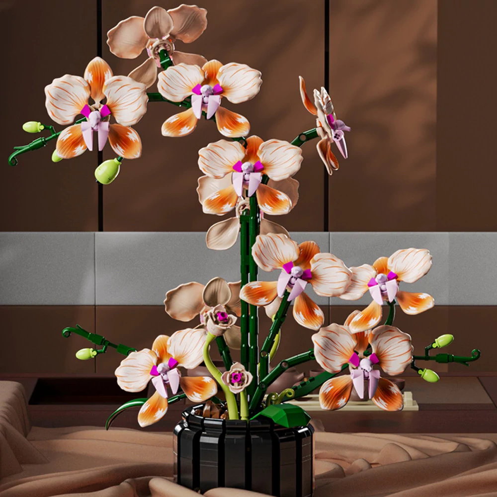 MJI 13111 Phalaenopsis Creator Expert