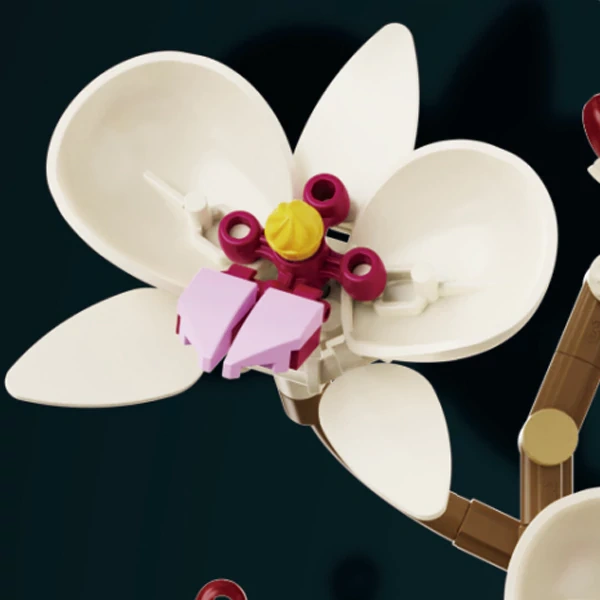 DK Orchid Series Creator Expert
