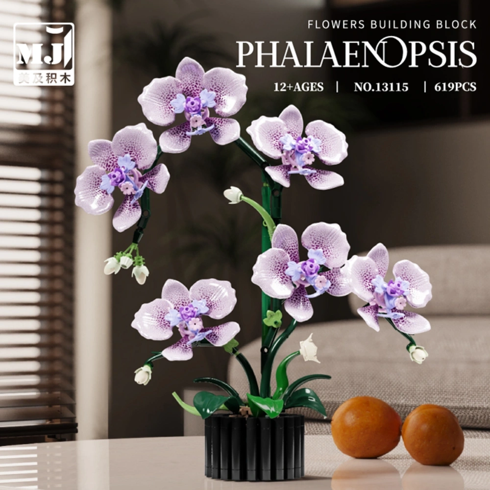 MJI 13115 Phalaenopsis Creator Expert