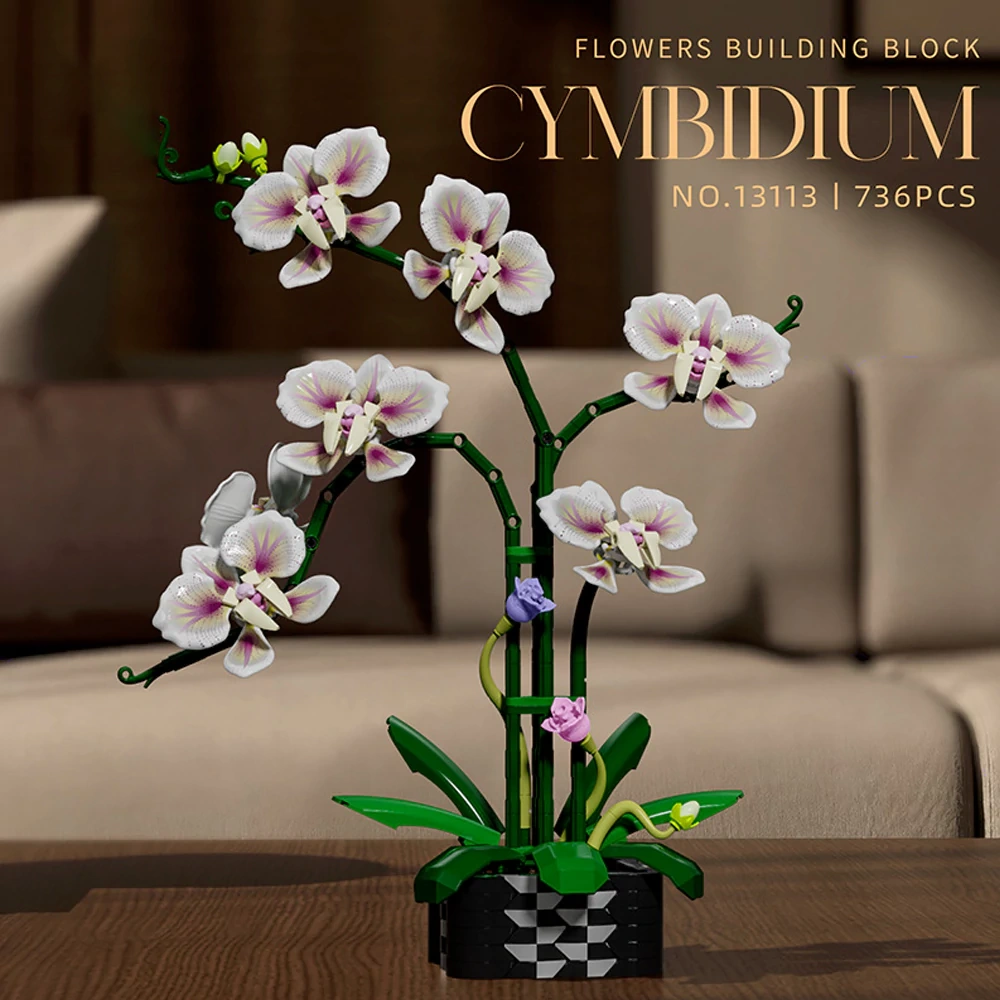 MJI 13113 CYMBIDIUM Creator Expert