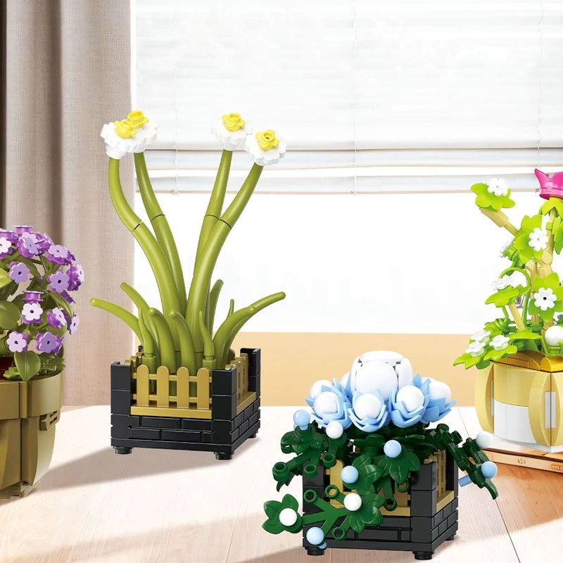 BAKA 33804 Cymbidium Potted Plant Creator Expert