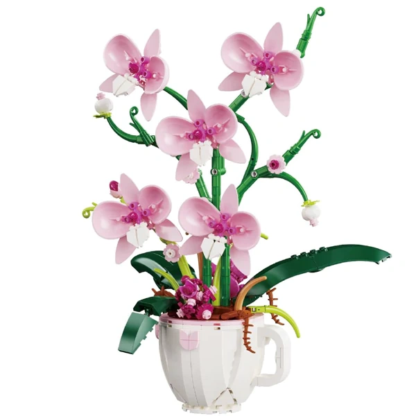 DK Orchid Series Creator Expert