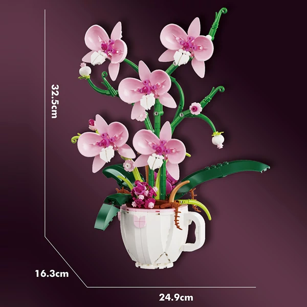 DK Orchid Series Creator Expert