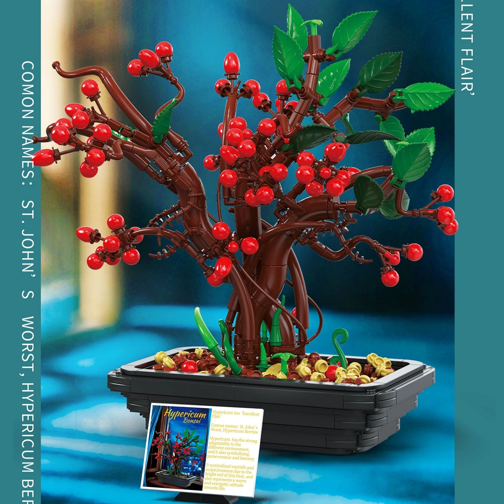 BAKA 33822 Hypericum Bonsai Tree