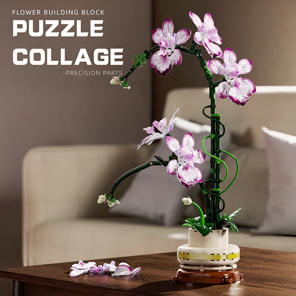 MJI 13114 CYMBIDIUM Creator Expert