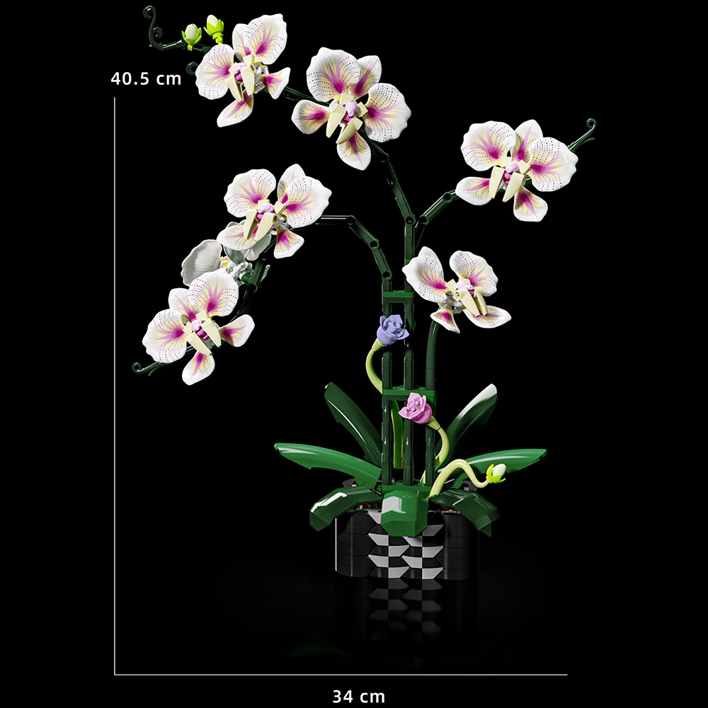 MJI 13113 CYMBIDIUM Creator Expert