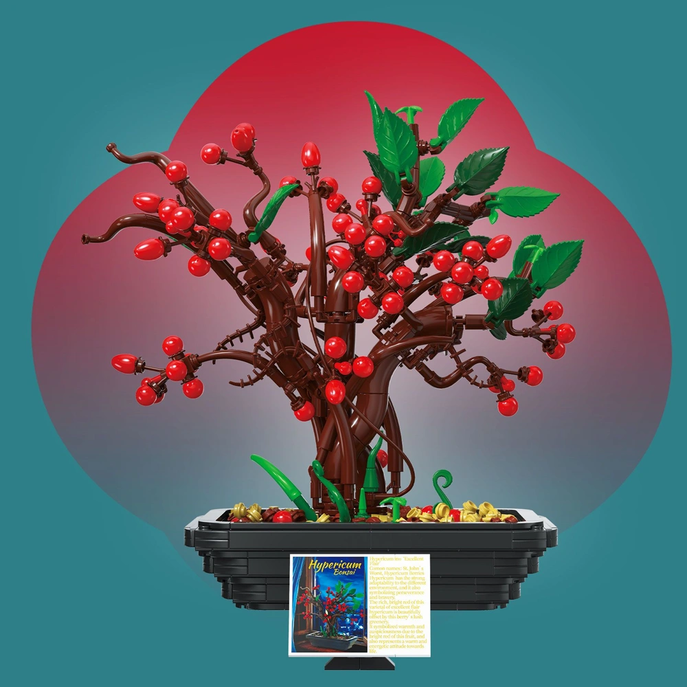 BAKA 33822 Hypericum Bonsai Creator Expert