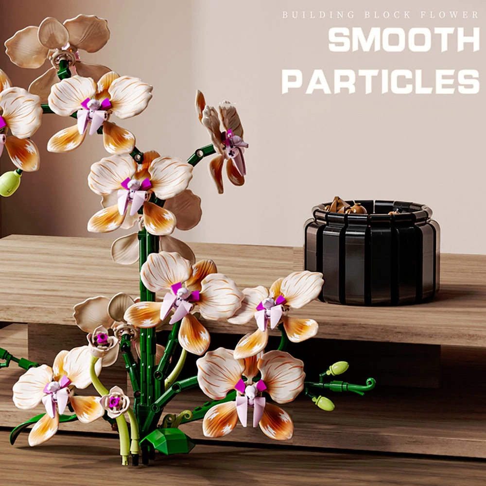 MJI 13111 Phalaenopsis Creator Expert