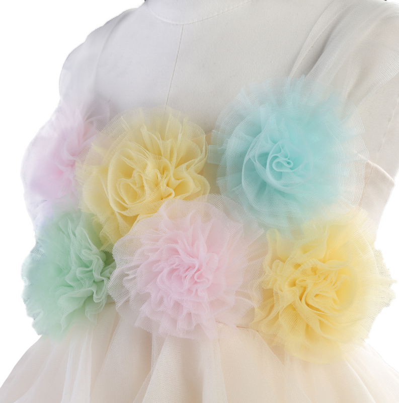 ChampagneTulle Flower Girl Dress