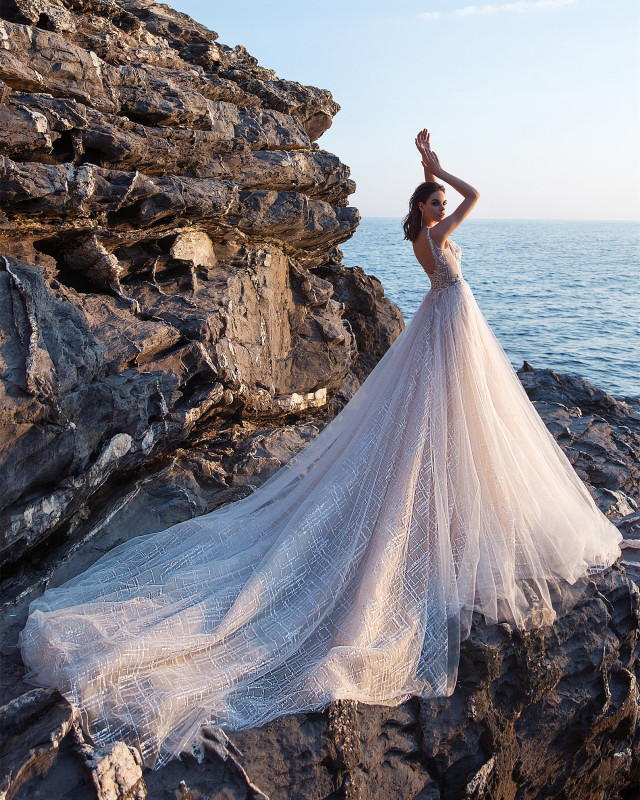 Light Champagne Tulle Long Train Bridal Gown