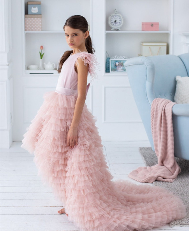 Pink Velvet Tulle High Low Flower Girl Dress Party Dress