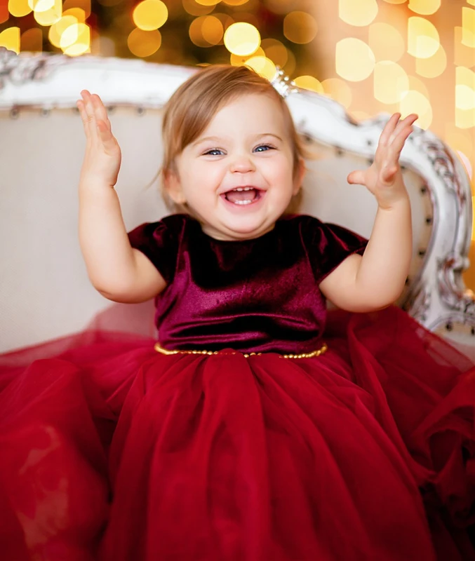 Red Velvet Tulle Flower Girl Dress Party Dress