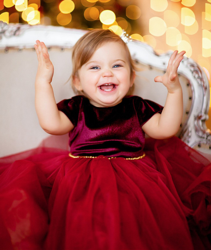 Red Velvet Tulle Flower Girl Dress Party Dress