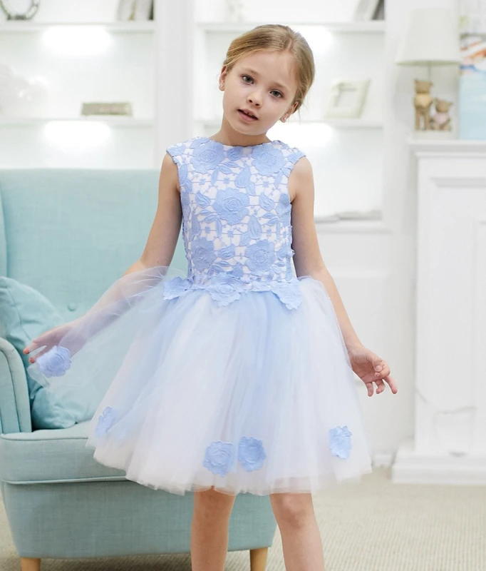 Blue Lace Tulle Knee Length Flower Girl Dress Party Dress