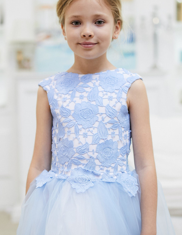 Blue Lace Tulle Knee Length Flower Girl Dress Party Dress