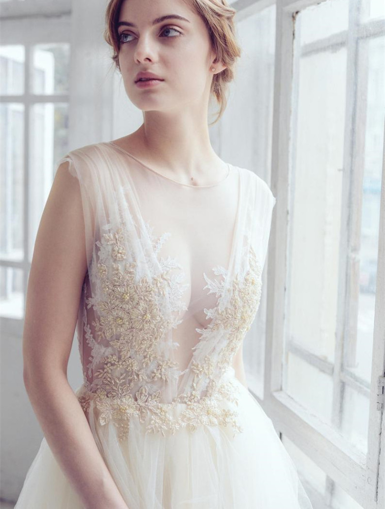 Light Champagne Lace Tulle Short Train Bridal Gown Wedding Dress