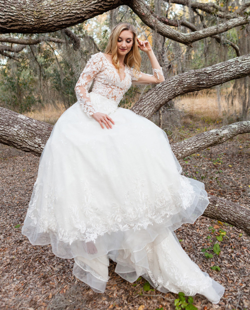 Ivory Lace Tulle Long Train Wedding Dress