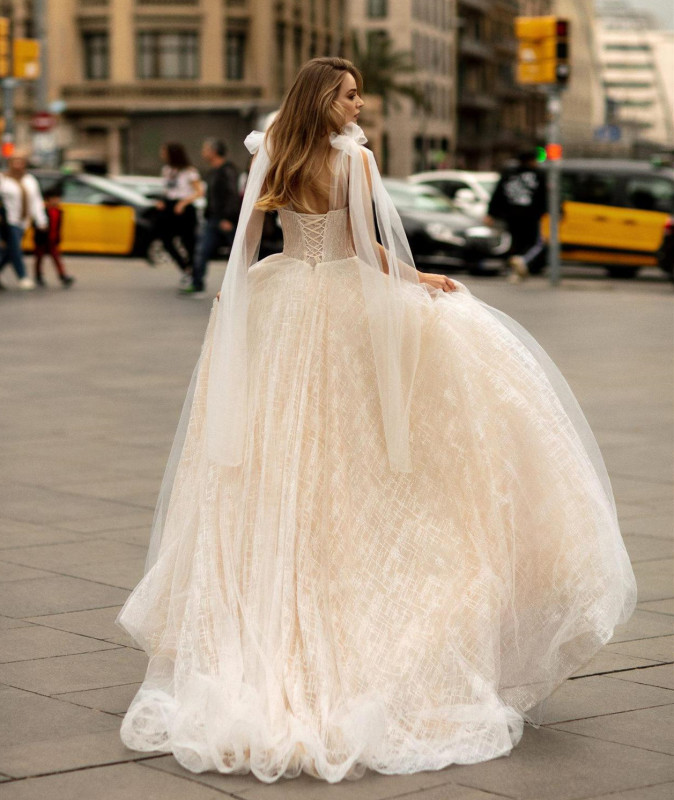 Champagne Lace Tulle Short Train Wedding Dress