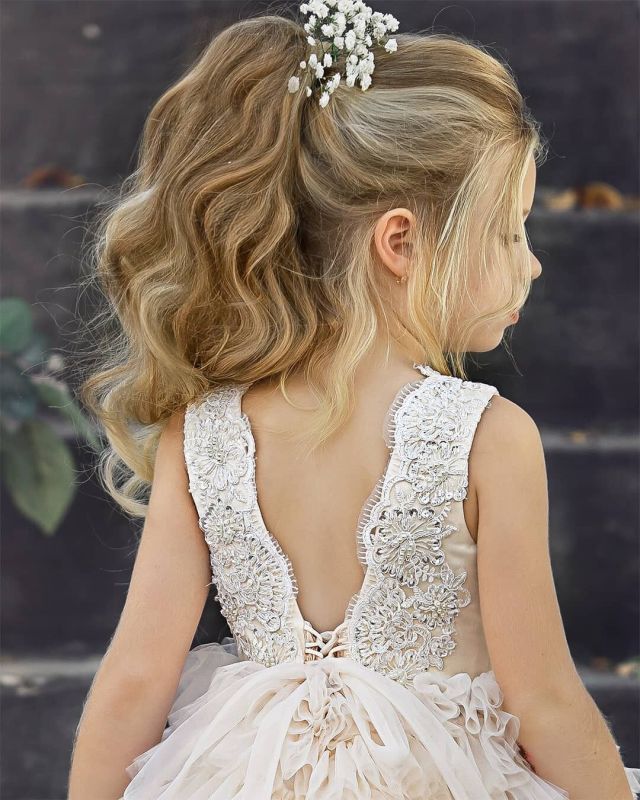 Chamapgne Mauve Beaded  Flower Girl Dress Party Dress Pageant Dress Toddler Dress