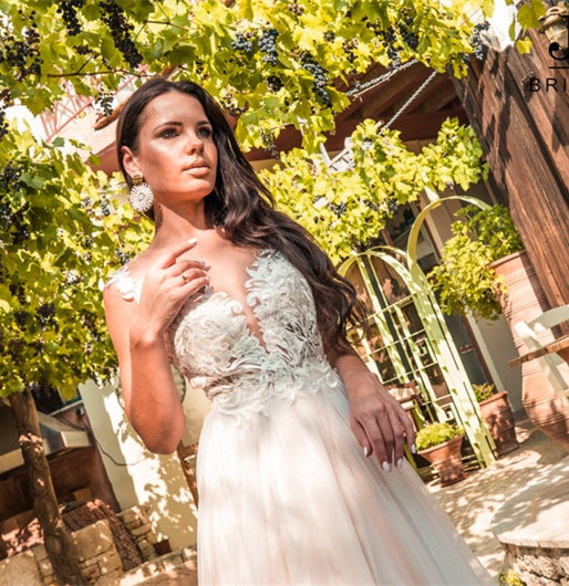 Champagne Lace Tulle Long Train Wedding Dress Bridal Gown