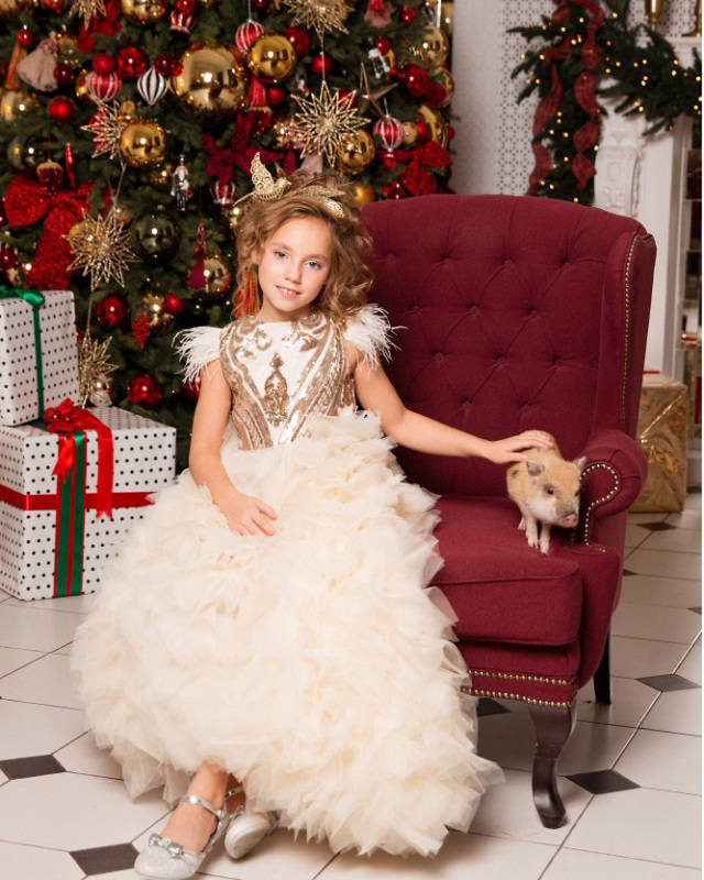 Champagne Sequin Tulle High Low Flower Girl Dress Pageant Dress