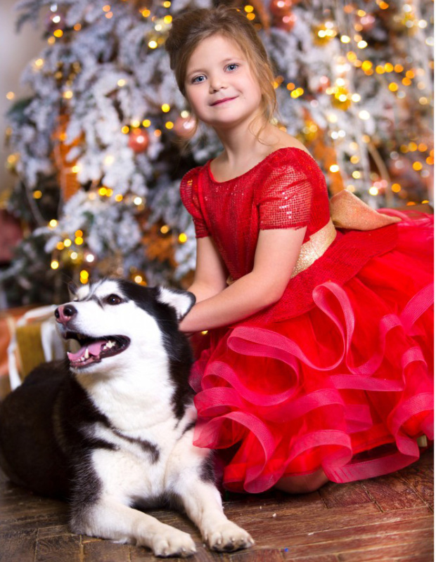 Red Sequin Tulle Knee Length Flower Girl Dress Pageant Dress