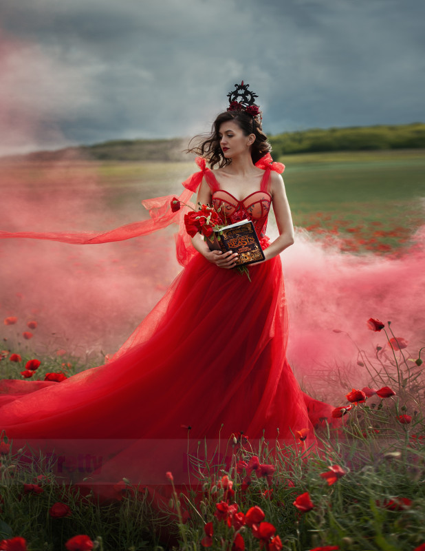 Red  Floral Lace Tulle Short Train Sexy Prom Dress