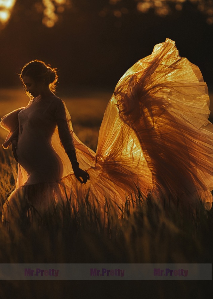 Champagne Maternity Dress Sexy Photoshoot Dress