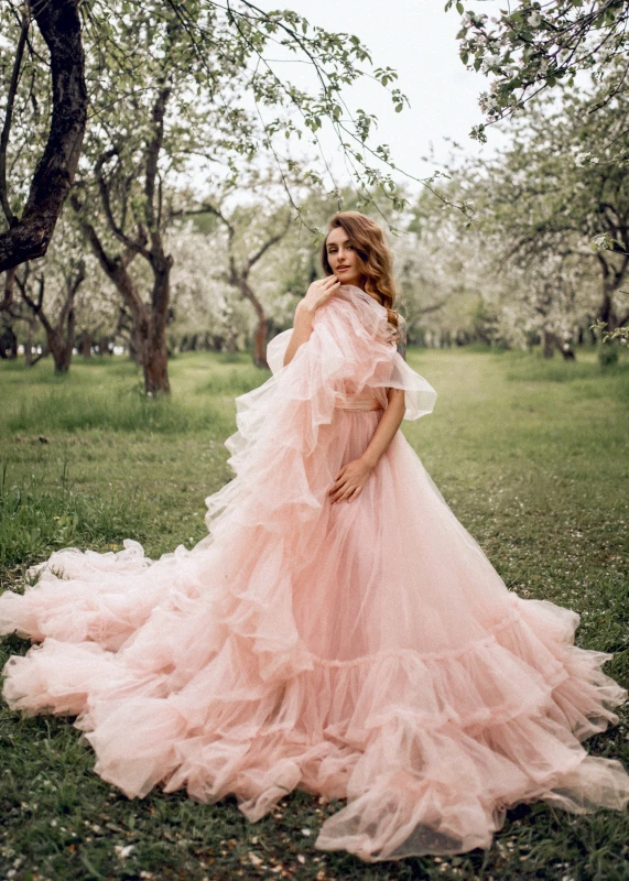 Blush Pink Photoshot Dress/Maternity Dress