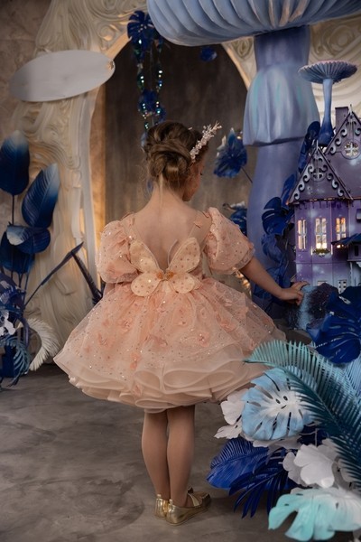 Butterflies  Short Pageant Dress/Girls Party Dress