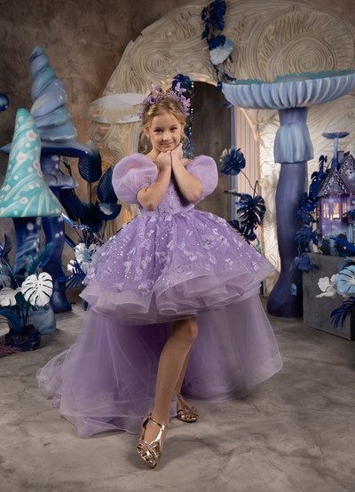 Purple Butterfly  Flower Girl Dress/Pageant Dress