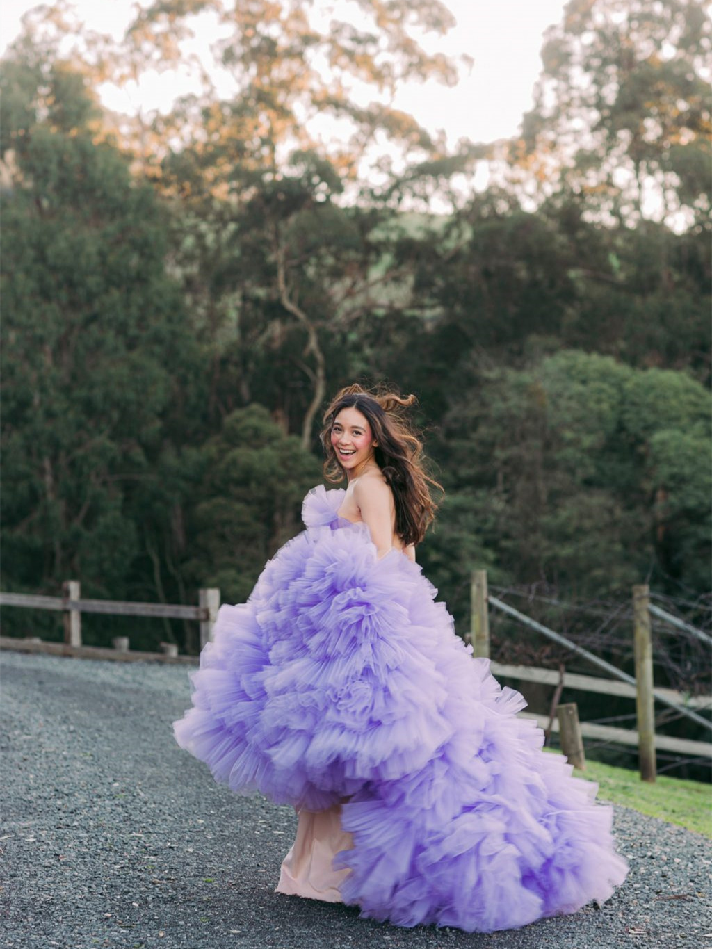 Purple  Ruffled Tulle Photoshoot Dress