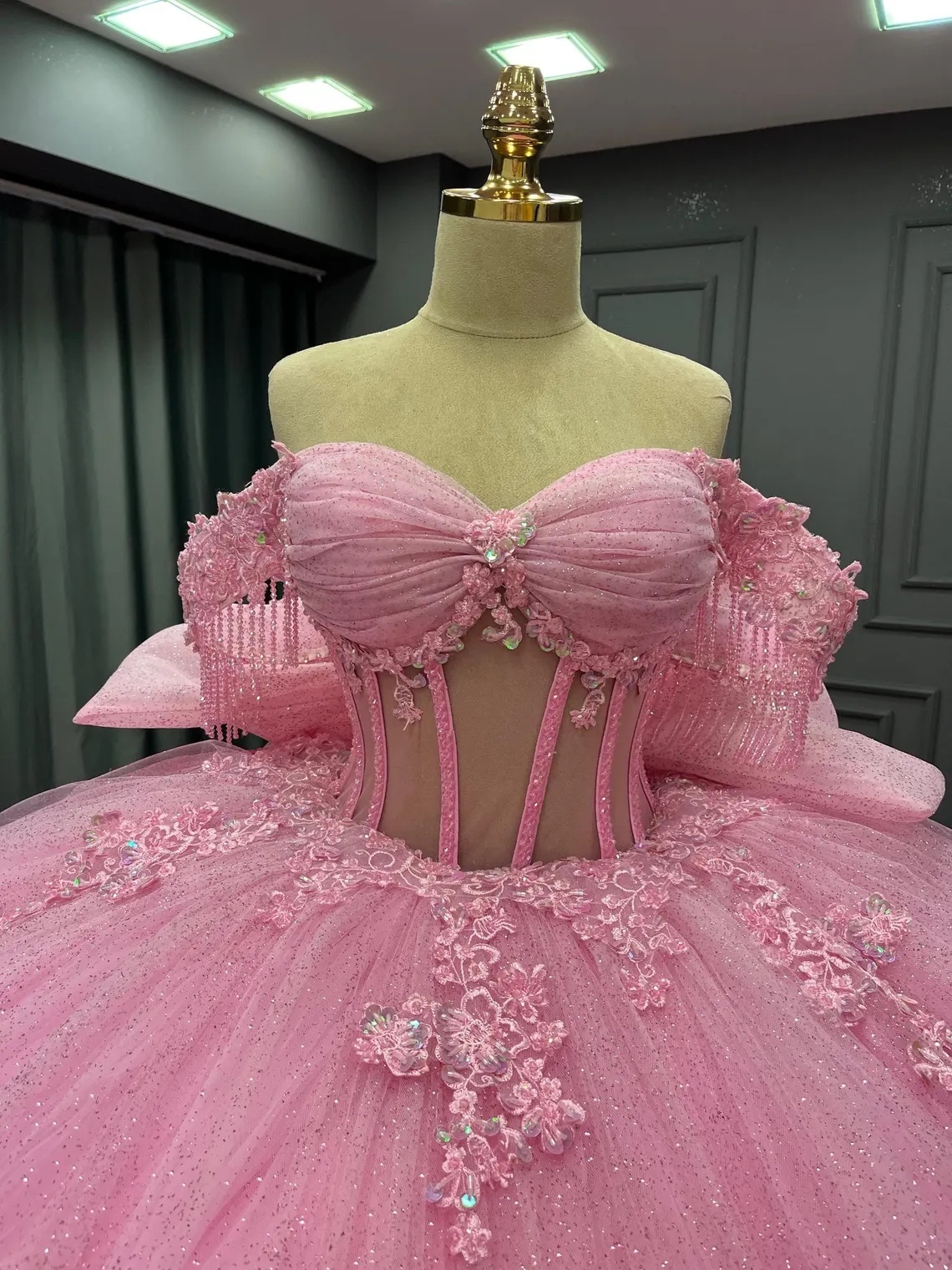 Pink Ball Gown Photo Shoot Dress