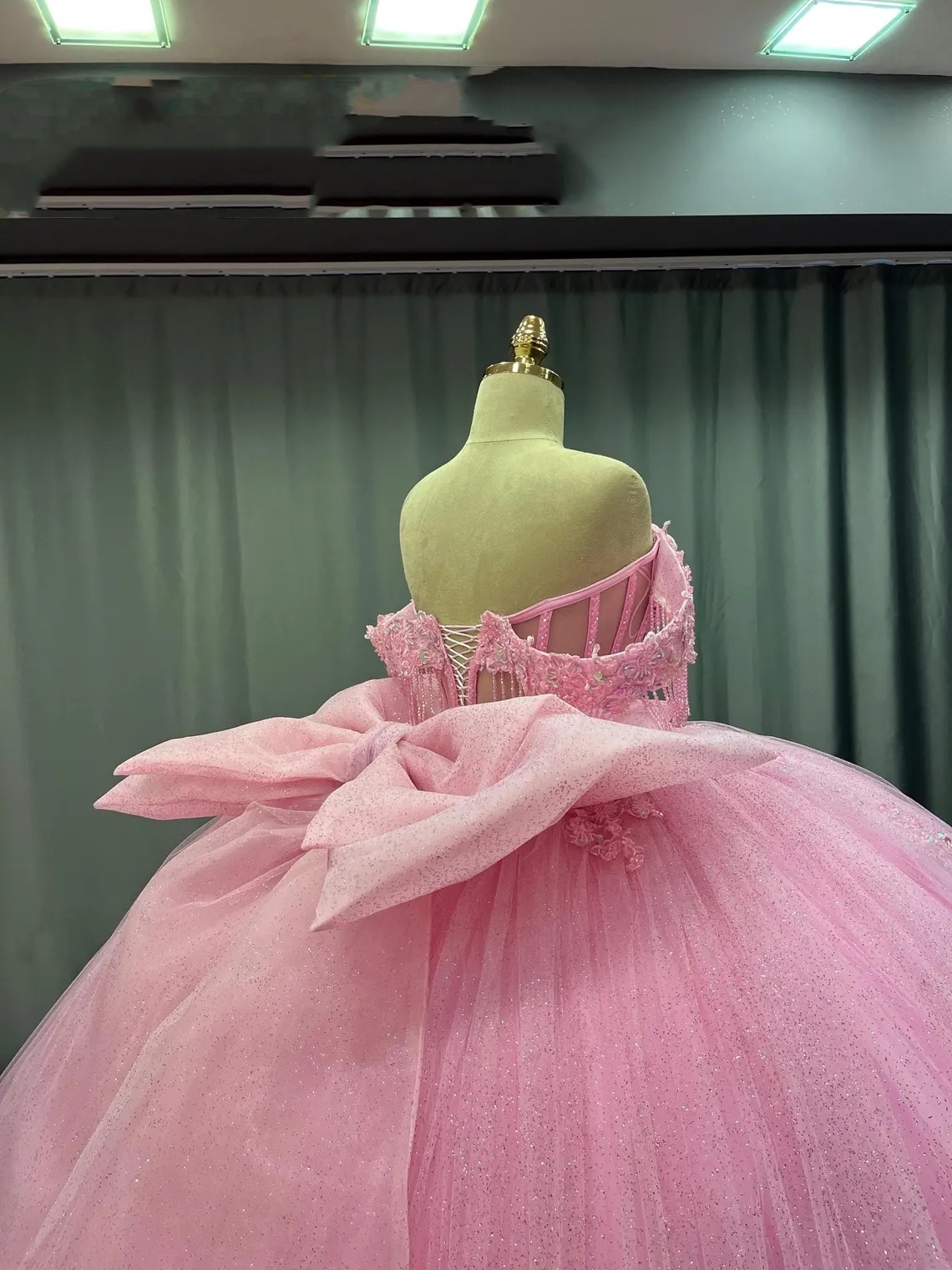 Pink Ball Gown Photo Shoot Dress