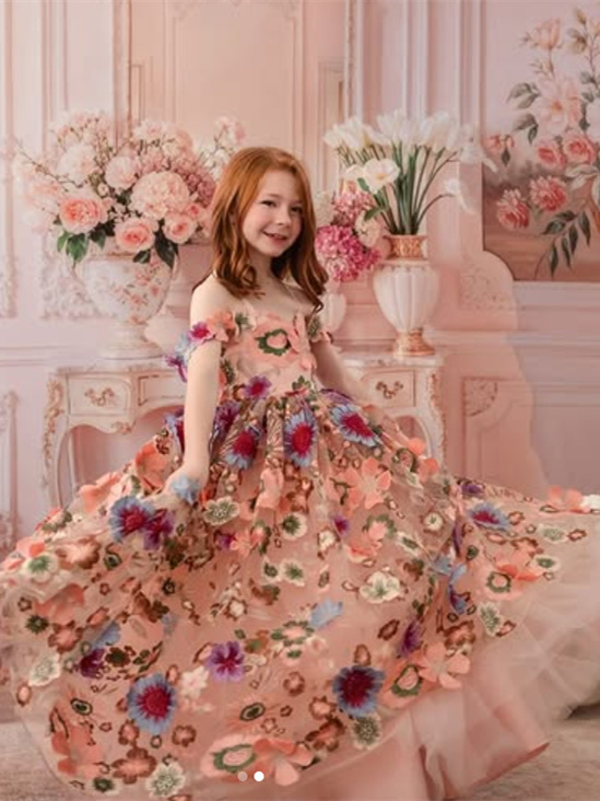 Floral Embroidred Lace Little Girl Dress
