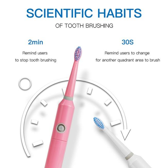 PT8S Battery Sonic Toothbrush