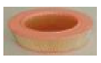 GM  Air Filter  25095707