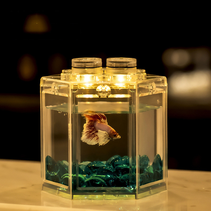 Small desktop creative landscaping ecological tank box acrylic betta fish  tank,Small Fish Tank