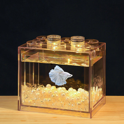 Small Desktop Mini Ecosystem Tank Acrylic Fish Tank