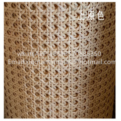 印尼藤青漂白眼笪