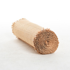 印尼藤青漂白眼笪