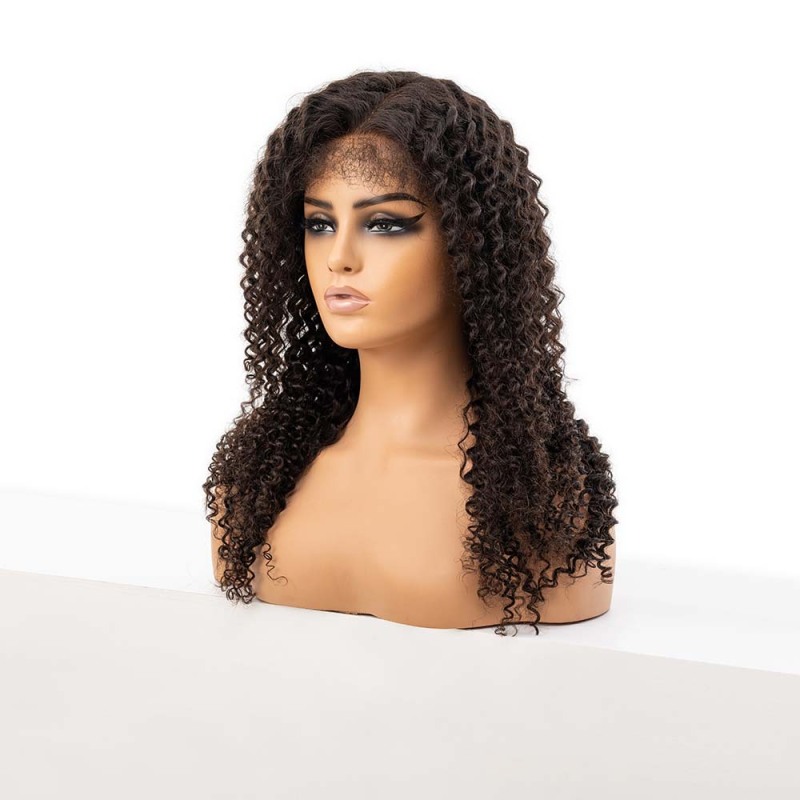 Wholesale Natural Black Curly 180% Density 13x6 Hd Lace Front Wigs for Women