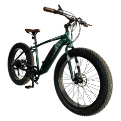 26'' Electric fat bike