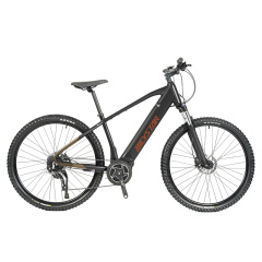 29'' Electric mountain bike